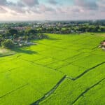 Aerial view of California land subdivision